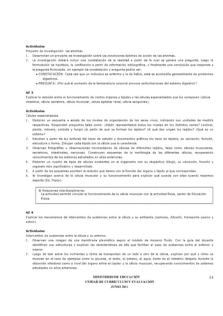 MINISTERIO DE EDUCACIÓN
UNIDAD DE CURRÍCULUM Y EVALUACIÓN
JUNIO 2011
34
Actividades
Proyecto de investigación: las enzimas.
1. Desarrollan un proyecto de investigación sobre las condiciones óptimas de acción de las enzimas.
2. La investigación deberá incluir una constatación de la realidad a partir de la cual se genere una pregunta, luego la
formulación de hipótesis, la verificación a partir de información bibliográfica, y finalmente una conclusión que responda a
la pregunta formulada. Un ejemplo de constatación y pregunta podría ser:
• CONSTATACIÓN: Cada vez que un individuo se enferma y le da fiebre, esta se acompaña generalmente de problemas
digestivos.
• PREGUNTA: ¿Por qué el aumento de la temperatura corporal provoca perturbaciones del sistema digestivo?
AE 3
Explicar la relación entre el funcionamiento de ciertos órganos y tejidos y las células especializadas que los componen (célula
intestinal, célula secretora, célula muscular, célula epitelial renal, célula sanguínea).
Actividades
Células especializadas
1. Elaboran un esquema a escala de los niveles de organización de los seres vivos, indicando sus unidades de medida
respectivas. Responden preguntas tales como: ¿Están representados todos los niveles en los distintos reinos? (animal,
planta, mónera, protista y fungi) ¿A partir de qué se forman los tejidos? ¿A qué dan origen los tejidos? ¿Qué es un
sistema?
2. Estudian a partir de las lecturas del texto de estudio y documentos gráficos los tipos de tejidos, su ubicación, función,
estructura y forma. Dibujan cada tejido con la célula que lo caracteriza.
3. Observan fotografías u observaciones microscópicas de células de diferentes tejidos, tales como células musculares,
secretoras, intestinales, nerviosas. Construyen esquemas de la morfología de las diferentes células, recuperando
conocimientos de los sistemas estudiados en años anteriores.
4. Elaboran un cuadro de tipos de células existentes en el organismo con su respectivo dibujo, su ubicación, función y
organelo más significativo y desarrollado.
5. A partir de los esquemas escriben la relación que tienen con la función del órgano o tejido al que corresponden.
6. ® Investigan acerca de la célula muscular y su funcionamiento para explicar qué sucede con ellas cuando hacemos
deporte (Ed. Física).
AE 4
Explicar los mecanismos de intercambio de sustancias entre la célula y su ambiente (osmosis, difusión, transporte pasivo y
activo).
Actividades
Intercambio de sustancias entre la célula y su entorno.
1. Observan una imagen de una membrana plasmática según el modelo de mosaico fluido. Con la guía del docente
identifican sus estructuras y explican las características de ella que facilitan el paso de sustancias entre el exterior e
interior
2. Luego de leer sobre los nutrientes y cómo se transportan de un lado a otro de la célula, explican por qué y cómo se
mueven en el caso de ejemplos como la glucosa, el sodio, el potasio, el agua, tanto en el intestino delgado durante la
absorción intestinal como a nivel del órgano entre el capilar y la célula muscular, recuperando conocimientos de sistemas
estudiados en años anteriores.
® Relaciones interdisciplinarias
La actividad permite vincular el funcionamiento de la célula muscular con la actividad física, sector de Educación
Física.
 