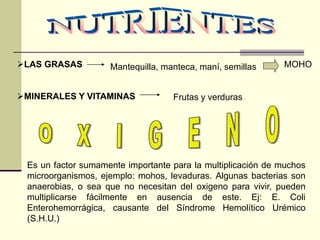 Mantequilla, manteca, maní, semillas➢LAS GRASAS
➢MINERALES Y VITAMINAS
MOHO
Frutas y verduras
Es un factor sumamente importante para la multiplicación de muchos
microorganismos, ejemplo: mohos, levaduras. Algunas bacterias son
anaerobias, o sea que no necesitan del oxigeno para vivir, pueden
multiplicarse fácilmente en ausencia de este. Ej: E. Coli
Enterohemorrágica, causante del Síndrome Hemolítico Urémico
(S.H.U.)
 