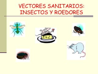VECTORES SANITARIOS:
INSECTOS Y ROEDORES
 