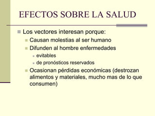 EFECTOS SOBRE LA SALUD
◼ Los vectores interesan porque:
◼ Causan molestias al ser humano
◼ Difunden al hombre enfermedades
◼ evitables
◼ de pronósticos reservados
◼ Ocasionan pérdidas económicas (destrozan
alimentos y materiales, mucho mas de lo que
consumen)
 