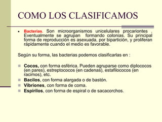 COMO LOS CLASIFICAMOS
• Bacterias. Son microorganismos unicelulares procariontes .
Eventualmente se agrupan formando colonias. Su principal
forma de reproducción es asexuada, por bipartición, y proliferan
rápidamente cuando el medio es favorable.
Según su forma, las bacterias podemos clasificarlas en :
◼ Cocos, con forma esférica. Pueden agruparse como diplococos
(en pares), estreptococos (en cadenas), estafilococos (en
racimos), etc.
◼ Bacilos, con forma alargada o de bastón.
◼ Vibriones, con forma de coma.
◼ Espirilos, con forma de espiral o de sacacorchos.
 