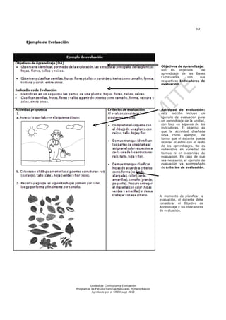17


Ejemplo de Evaluación




                                                                                  Objetivos de Aprendizaje:
                                                                                  son los objetivos       de
                                                                                  aprendizaje de las Bases
                                                                                  Curriculares,    con   sus
                                                                                  respectivos Indicadores de
                                                                                  evaluación.




                                                                                  Actividad de evaluación:
                                                                                  esta sección incluye un
                                                                                  ejemplo de evaluación para
                                                                                  un aprendizaje de la unidad,
                                                                                  con foco en algunos de los
                                                                                  indicadores. El objetivo es
                                                                                  que la actividad diseñada
                                                                                  sirva como ejemplo, de
                                                                                  forma que el docente pueda
                                                                                  replicar el estilo con el resto
                                                                                  de los aprendizajes. No es
                                                                                  exhaustivo en variedad de
                                                                                  formas ni en instancias de
                                                                                  evaluación. En caso de que
                                                                                  sea necesario, el ejemplo de
                                                                                  evaluación va acompañado
                                                                                  de criterios de evaluación.




                                                                                 Al momento de planificar la
                                                                                 evaluación, el docente debe
                                                                                 considerar el Objetivo de
                                                                                 Aprendizaje y los indicadores
                                                                                 de evaluación.




                                 Unidad de Currículum y Evaluación
                        Programas de Estudio Ciencias Naturales Primero Básico
                                  Aprobado por el CNED sept 2012
 