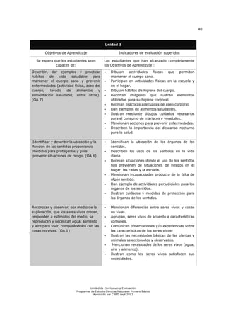 40



                                                Unidad 1

       Objetivos de Aprendizaje                            Indicadores de evaluación sugeridos

  Se espera que los estudiantes sean            Los estudiantes que han alcanzado completamente
             capaces de:                        los Objetivos de Aprendizaje :
Describir, dar ejemplos y practicar                 Dibujan     actividades   físicas  que   permitan
hábitos   de    vida    saludable    para            mantener el cuerpo sano.
mantener el cuerpo sano y prevenir                  Participan en actividades físicas en la escuela y
enfermedades (actividad física, aseo del             en el hogar.
cuerpo,    lavado    de    alimentos    y           Dibujan hábitos de higiene del cuerpo.
alimentación saludable, entre otros).               Recortan imágenes que ilustran elementos
(OA 7)                                               utilizados para su higiene corporal.
                                                    Recrean prácticas adecuadas de aseo corporal.
                                                    Dan ejemplos de alimentos saludables.
                                                    Ilustran mediante dibujos cuidados necesarios
                                                     para el consumo de mariscos y vegetales.
                                                    Mencionan acciones para prevenir enfermedades.
                                                    Describen la importancia del descanso nocturno
                                                     para la salud.

Identificar y describir la ubicación y la           Identifican la ubicación de los órganos de los
función de los sentidos proponiendo                  sentidos.
medidas para protegerlos y para                     Describen los usos de los sentidos en la vida
prevenir situaciones de riesgo. (OA 6)               diaria.
                                                    Recrean situaciones donde el uso de los sentidos
                                                     nos previenen de situaciones de riesgos en el
                                                     hogar, las calles y la escuela.
                                                    Mencionan incapacidades producto de la falta de
                                                     algún sentido.
                                                    Dan ejemplo de actividades perjudiciales para los
                                                     órganos de los sentidos.
                                                    Ilustran cuidados y medidas de protección para
                                                     los órganos de los sentidos.

Reconocer y observar, por medio de la               Mencionan diferencias entre seres vivos y cosas
exploración, que los seres vivos crecen,             no vivas.
responden a estímulos del medio, se                 Agrupan, seres vivos de acuerdo a características
reproducen y necesitan agua, alimento                comunes.
y aire para vivir, comparándolos con las            Comunican observaciones y/o experiencias sobre
cosas no vivas. (OA 1)                               las características de los seres vivos-
                                                    Ilustran las necesidades básicas de las plantas y
                                                     animales seleccionados y observados.
                                                     Mencionan necesidades de los seres vivos (agua,
                                                     aire y alimento).
                                                    Ilustran como los seres vivos satisfacen sus
                                                     necesidades.




                                     Unidad de Currículum y Evaluación
                            Programas de Estudio Ciencias Naturales Primero Básico
                                       Aprobado por CNED sept 2012
 
