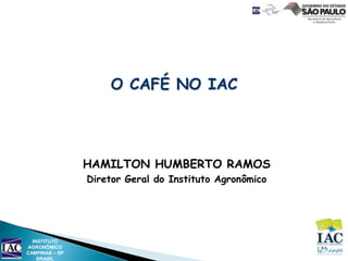 O CAFÉ NO IAC




                HAMILTON HUMBERTO RAMOS
                Diretor Geral do Instituto Agronômico




  INSTITUTO
AGRONÔMICO
CAMPINAS – SP
    BRASIL
 