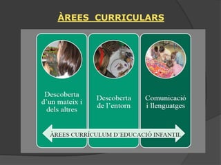 ÀREES CURRICULARS
 
