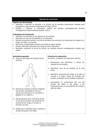 52
Unidad de Currículum y Evaluación
Programas de Estudio Ciencias Naturales Primero Básico
Aprobado por CNED sept 2012
Ejemplo de evaluación
Objetivo de Aprendizaje
 Identificar y describir la ubicación y la función de los sentidos proponiendo medidas para
protegerlos y para prevenir situaciones de riesgo. (OA 6)
 Explorar y observar la naturaleza, usando los sentidos apropiadamente durante
investigaciones experimentales guiadas. (OA a)
Indicadores de Evaluación
 Identifican la ubicación de los órganos de los sentidos.
 Describen los usos de los sentidos en la vida diaria.
 Recrean situaciones donde el uso de los sentidos nos previenen de situaciones de riesgos en el
hogar, las calles y la escuela.
 Mencionan incapacidades producto de la falta de algún sentido.
 Dibujan diferentes elementos que observan de la naturaleza.
 Describen oralmente la forma de utilizar los sentidos durante investigaciones simples que
realiza.
Actividad propuesta
a) Ubica en esta figura los órganos de los
sentidos.
b) Recorta de revistas en desuso imágenes
que ilustran actividades en las que
usamos los sentidos en la vida diaria y
pégalas en tu cuaderno.
c) Dibuja ejemplos de la vida diaria donde
el uso de los sentidos nos previenen de
situaciones de riesgo en la calle, la
escuela y la casa.
d) Señala qué no podrías hacer si pierdes el
sentido del gusto y del olfato.
Criterios de evaluación:
Al evaluar, considerar los siguientes criterios:
 Demuestran que identifican y ubican los
órganos de los sentidos.
 Identifican usos de los sentidos en la vida
diaria.
 Identifican situaciones de riesgo en la calle, la
escuela y el hogar, donde los sentidos nos
ayudan y protegen contra posibles accidentes.
 Demuestran la comprensión del uso del
sentido del olfato y del gusto, y las
limitaciones para su vida producto de la falta o
daño de estos.
 