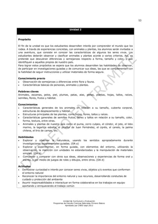 53
Unidad de Currículum y Evaluación
Programas de Estudio Ciencias Naturales Primero Básico
Aprobado por CNED sept 2012
Unidad 2
Propósito
El fin de la unidad es que los estudiantes desarrollen interés por comprender el mundo que los
rodea. A través de experiencias concretas, con animales y plantas, los alumnos serán invitados a
una aventura, que consiste en conocer las características de algunos los seres vivos. Los
estudiantes deberán observar y clasificar animales y plantas acorde a varios criterios. Así, se
pretende que descubran diferencias y semejanzas respecto a forma, tamaño y color, y que
identifiquen a aquellos propios de nuestro país.
Para lograr estos propósitos se espera que los alumnos desarrollen las habilidades de observar,
de participar en investigaciones guiadas y de comunicar sus ideas, las que se complementan con
la habilidad de seguir instrucciones y utilizar materiales de forma segura.
Conocimiento previo
 Observación de semejanzas y diferencias entre flora y fauna.
 Características básicas de personas, animales y plantas.
Palabras claves
Animales, escamas, pelos, piel, plumas, patas, alas, aletas, plantas, hojas, tallos, raíces,
semillas, flores, frutos y hábitat.
Conocimientos
 Características generales de los animales en relación a su tamaño, cubierta corporal,
estructuras de desplazamiento y hábitat.
 Estructuras principales de las plantas, como hojas, flores, tallos y raíces.
 Características generales de semillas frutos, flores y tallos en relación a su tamaño, color,
forma, textura, entre otras.
 Animales y plantas de nuestro país como el puma, zorro culpeo, el cóndor, el jote, el lobo
marino, la lagartija esbelta, el picaflor de Juan Fernández, el ciprés, el canelo, la palma
chilena, el lirio de campo, etc.
Habilidades
 Explorar y observar la naturaleza, usando los sentidos apropiadamente durante
investigaciones experimentales guiadas. (OA a)
 Explorar y experimentar, en forma guiada, con elementos del entorno, utilizando la
observación, la medición con unidades no estandarizadas y la manipulación de materiales
simples. (OA b)
 Comunicar y comparar con otros sus ideas, observaciones y experiencias de forma oral y
escrita, y por medio de juegos de roles y dibujos, entre otros. (OA d)
Actitudes
 Demostrar curiosidad e interés por conocer seres vivos, objetos y/o eventos que conforman
el entorno natural
 Reconocer la importancia del entorno natural y sus recursos, desarrollando conductas de
cuidado y protección del ambiente
 Asumir responsabilidades e interactuar en forma colaborativa en los trabajos en equipo
aportando y enriqueciendo el trabajo común
 