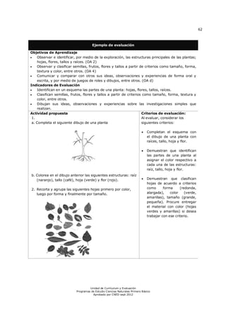 62
Unidad de Currículum y Evaluación
Programas de Estudio Ciencias Naturales Primero Básico
Aprobado por CNED sept 2012
Ejemplo de evaluación
Objetivos de Aprendizaje
 Observar e identificar, por medio de la exploración, las estructuras principales de las plantas;
hojas, flores, tallos y raíces. (OA 2)
 Observar y clasificar semillas, frutos, flores y tallos a partir de criterios como tamaño, forma,
textura y color, entre otros. (OA 4)
 Comunicar y comparar con otros sus ideas, observaciones y experiencias de forma oral y
escrita, y por medio de juegos de roles y dibujos, entre otros. (OA d)
Indicadores de Evaluación
 Identifican en un esquema las partes de una planta: hojas, flores, tallos, raíces.
 Clasifican semillas, frutos, flores y tallos a partir de criterios como tamaño, forma, textura y
color, entre otros.
 Dibujan sus ideas, observaciones y experiencias sobre las investigaciones simples que
realizan.
Actividad propuesta
1.
a. Completa el siguiente dibujo de una planta
b. Colorea en el dibujo anterior las siguientes estructuras: raíz
(naranjo), tallo (café), hoja (verde) y flor (rojo).
2. Recorta y agrupa las siguientes hojas primero por color,
luego por forma y finalmente por tamaño.
Criterios de evaluación:
Al evaluar, considerar los
siguientes criterios:
 Completan el esquema con
el dibujo de una planta con
raíces, tallo, hoja y flor.
 Demuestran que identifican
las partes de una planta al
asignar el color respectivo a
cada una de las estructuras:
raíz, tallo, hoja y flor.
 Demuestran que clasifican
hojas de acuerdo a criterios
como forma (redonda,
alargada), color (verde,
amarillas), tamaño (grande,
pequeña). Procure entregar
el material con color (hojas
verdes y amarillas) si desea
trabajar con ese criterio.
 
