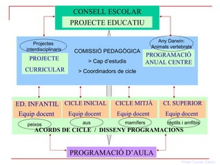 ACORDS DE CICLE  /  DISSENY PROGRAMACIONS   CONSELL ESCOLAR PROJECTE EDUCATIU COMISSIÓ PEDAGÒGICA > Cap d’estudis > Coordinadors de cicle PROJECTE  CURRICULAR PROGRAMACIÓ ANUAL CENTRE ED. INFANTIL Equip docent   PROGRAMACIÓ D’AULA CICLE INICIAL Equip docent   CICLE MITJÀ Equip docent   CI. SUPERIOR Equip docent   Projectes interdisciplinaris Any Darwin: Animals vertebrats peixos rèptils i amfibis aus mamífers 