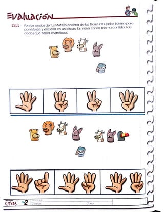 Programa cifras digitos