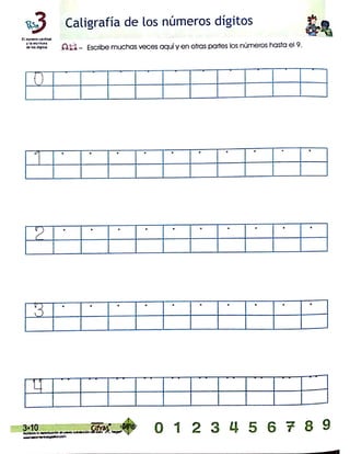 Programa cifras digitos