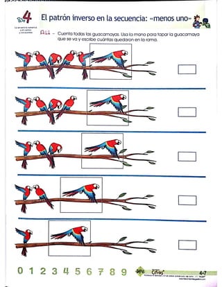 Programa cifras digitos
