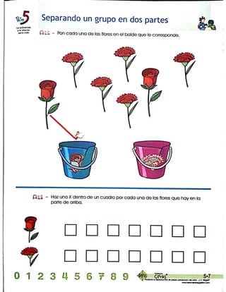 Programa cifras digitos