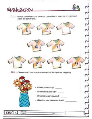 Programa cifras digitos