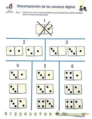 Programa cifras digitos