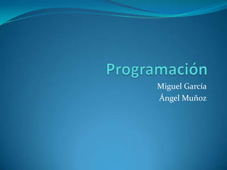 Programación Miguel García Ángel Muñoz 