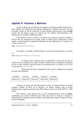 Programación en C++ con C++ Builder | PDF