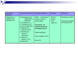 ProgramacióN S.V.