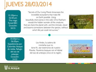 Programación Video Wall - Día Mundial Forestal | PPT