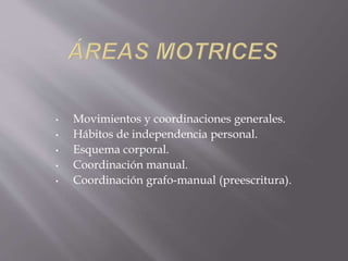 • Movimientos y coordinaciones generales.
• Hábitos de independencia personal.
• Esquema corporal.
• Coordinación manual.
• Coordinación grafo-manual (preescritura).
 