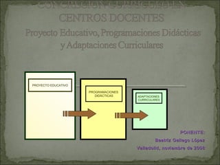 PROYECTO EDUCATIVO

                     PROGRAMACIONES
                        DIDÁCTICAS    ADAPTACIONES
                                      CURRICULARES




                                                         PONENTE:
                                               Beatriz Gallego López
                                      Valladolid, noviembre de 2008
 