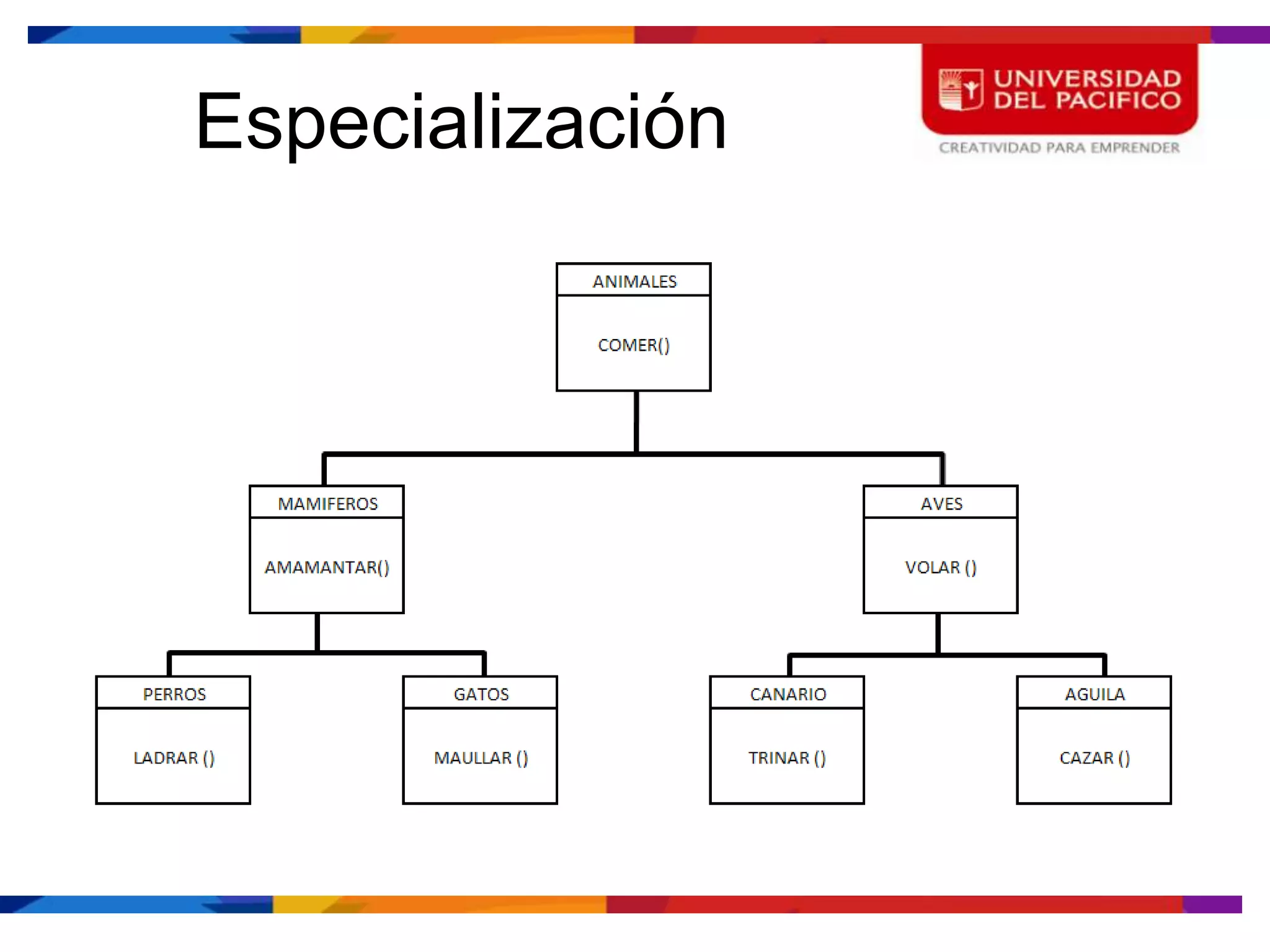 Especialización
 