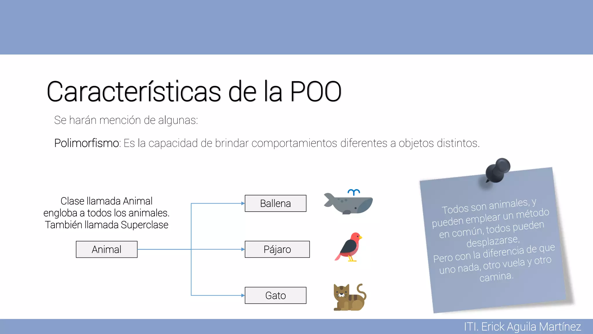 ITI. Erick Aguila Martínez
Características de la POO
Polimorfismo: Es la capacidad de brindar comportamientos diferentes a objetos distintos.
Se harán mención de algunas:
Animal
Clase llamada Animal
engloba a todos los animales.
También llamada Superclase
Ballena
Pájaro
Gato
 