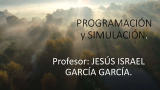 PROGRAMACIÓN
y SIMULACIÓN.
Profesor: JESÚS ISRAEL
GARCÍA GARCÍA.
 