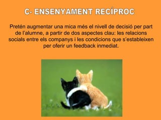 Pretén augmentar una mica més el nivell de decisió per part
de l’alumne, a partir de dos aspectes clau: les relacions
socials entre els companys i les condicions que s’estableixen
per oferir un feedback inmediat.
 