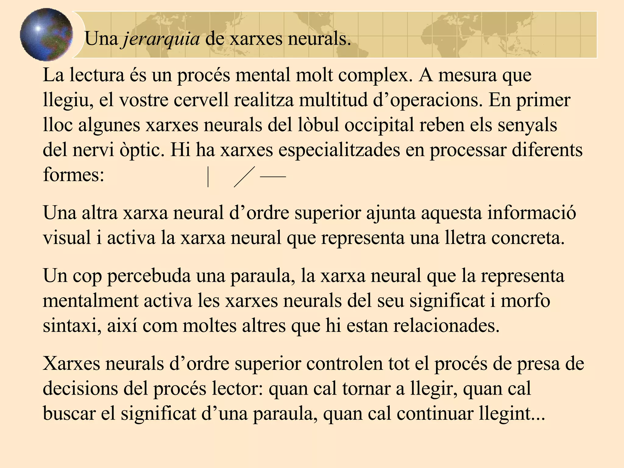 La lectura és un procés mental molt complex. A mesura que llegiu, el vostre cervell realitza multitud d’operacions. En primer lloc algunes xarxes neurals del lòbul occipital reben els senyals del nervi òptic. Hi ha xarxes especialitzades  en  processar diferents formes:  Una altra xarxa neural d’ordre superior ajunta aquesta informació visual i activa la xarxa neural que representa una lletra concreta.  Un cop percebuda una paraula, la xarxa neural que la representa mentalment activa les xarxes neurals del seu significat i morfo sintaxi, així com moltes altres que hi estan relacionades. Xarxes neurals d’ordre superior controlen tot el procés de presa de decisions  del procés lector: quan cal tornar a llegir, quan cal buscar el significat d’una paraula, quan cal continuar llegint... Una  jerarquia  de xarxes neurals. 