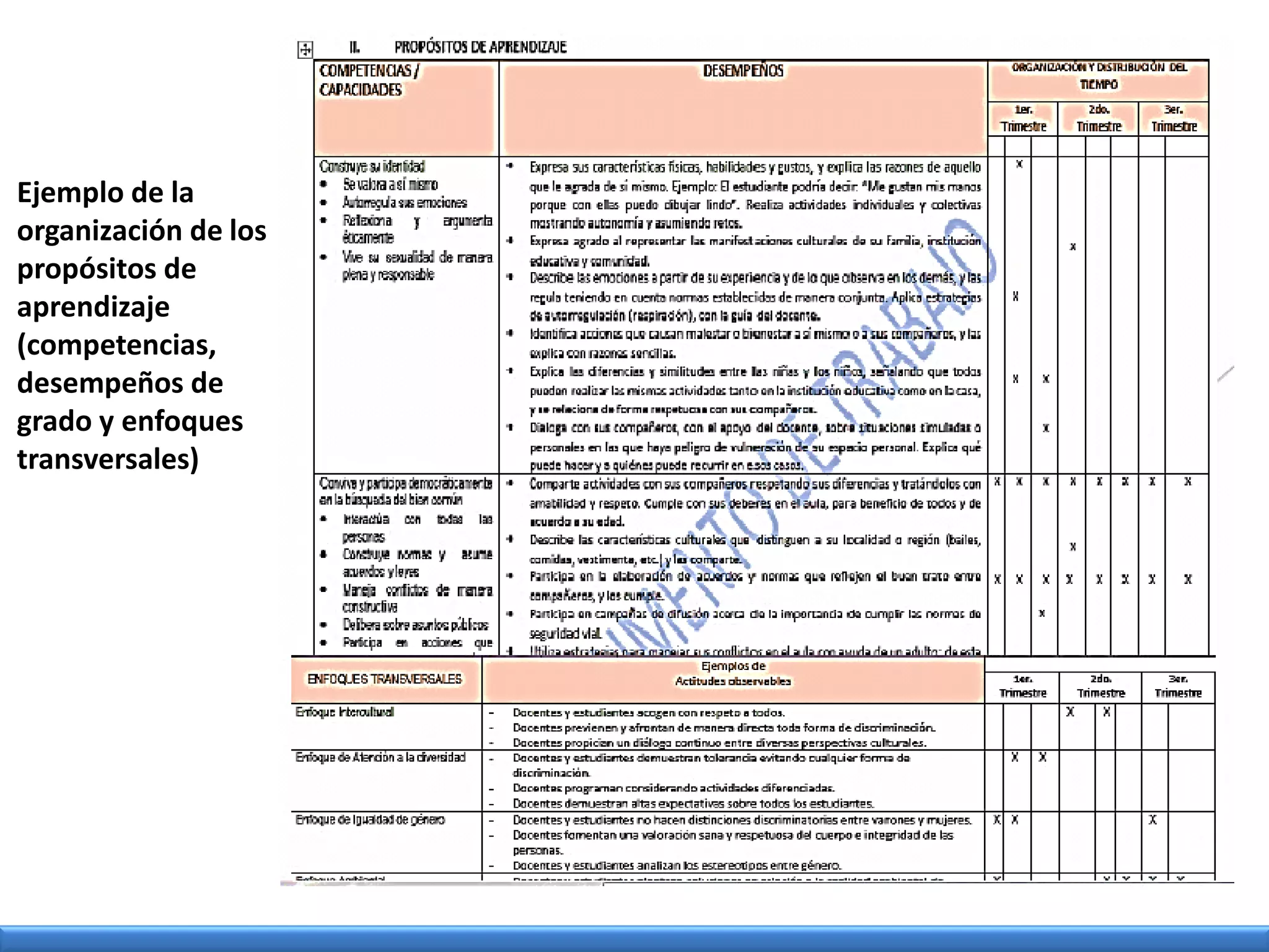 Ejemplo de la
organización de los
propósitos de
aprendizaje
(competencias,
desempeños de
grado y enfoques
transversales)
 