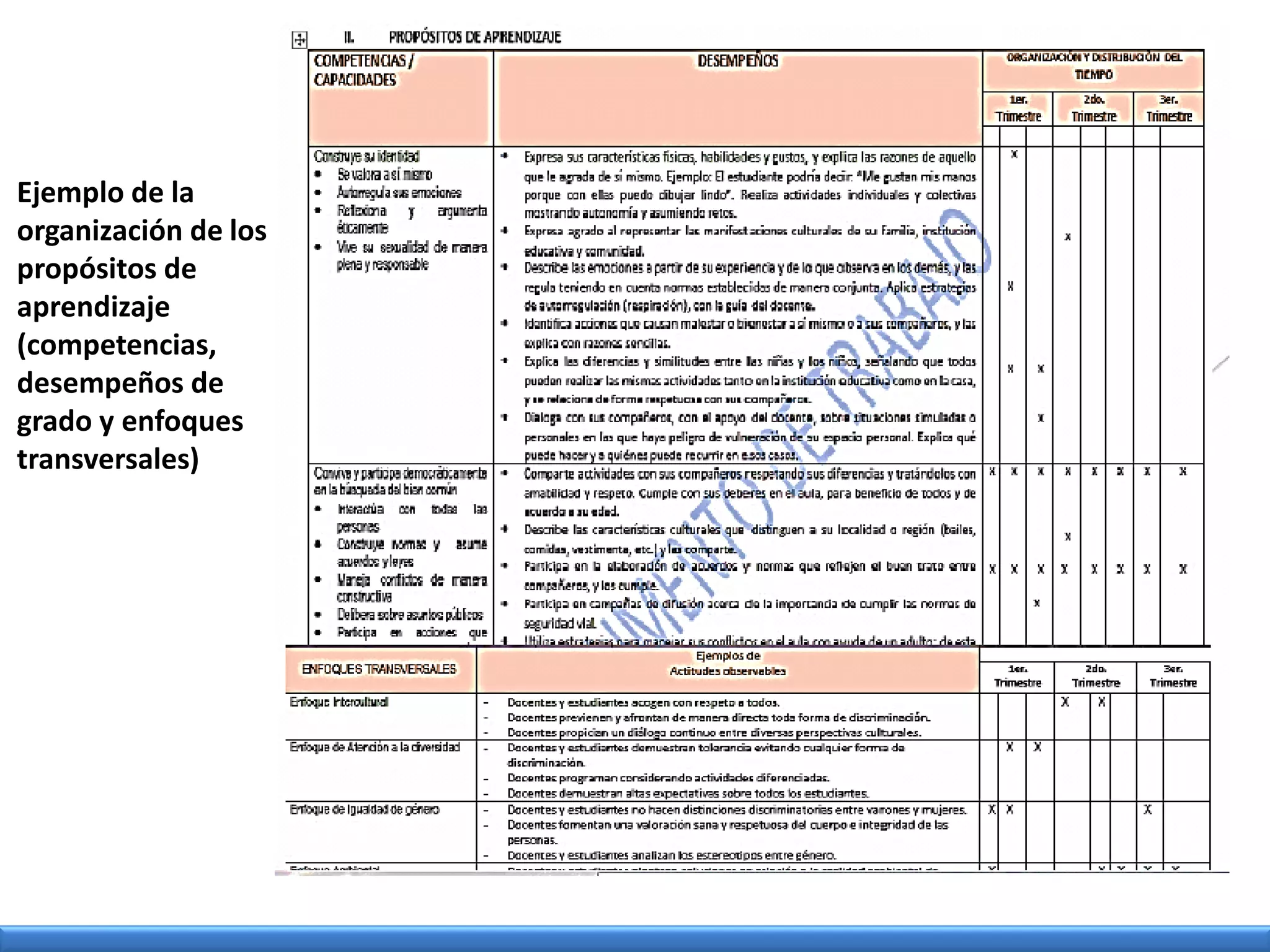 Ejemplo de la
organización de los
propósitos de
aprendizaje
(competencias,
desempeños de
grado y enfoques
transversales)
 