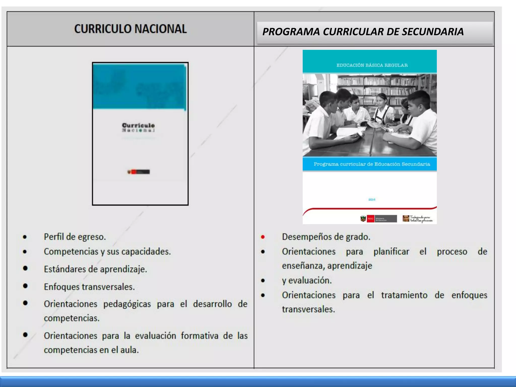 PROGRAMA CURRICULAR DE SECUNDARIA
 