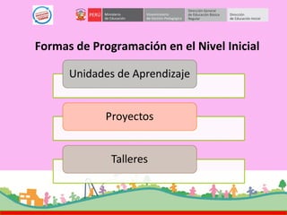 Formas de Programación en el Nivel Inicial
 