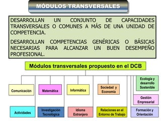 MÓDULOS TRANSVERSALES

DESARROLLAN   UN   CONJUNTO   DE   CAPACIDADES
TRANSVERSALES O COMUNES A MÁS DE UNA UNIDAD DE
COMPETENCIA.
DESARROLLAN COMPETENCIAS GENÉRICAS                              O BÁSICAS
NECESARIAS PARA ALCANZAR UN BUEN                                DESEMPEÑO
PROFESIONAL.

          Módulos transversales propuesto en el DCB

                                                                      Ecología y
                                                                      desarrollo
                                                Sociedad y            Sostenible
Comunicación    Matemática      Informática      Economía
                                                                     Gestión
                                                                    Empresarial

                Investigación      Idioma       Relaciones en el    Formación y
 Actividades     Tecnológica      Extranjero   Entorno de Trabajo   Orientación
 