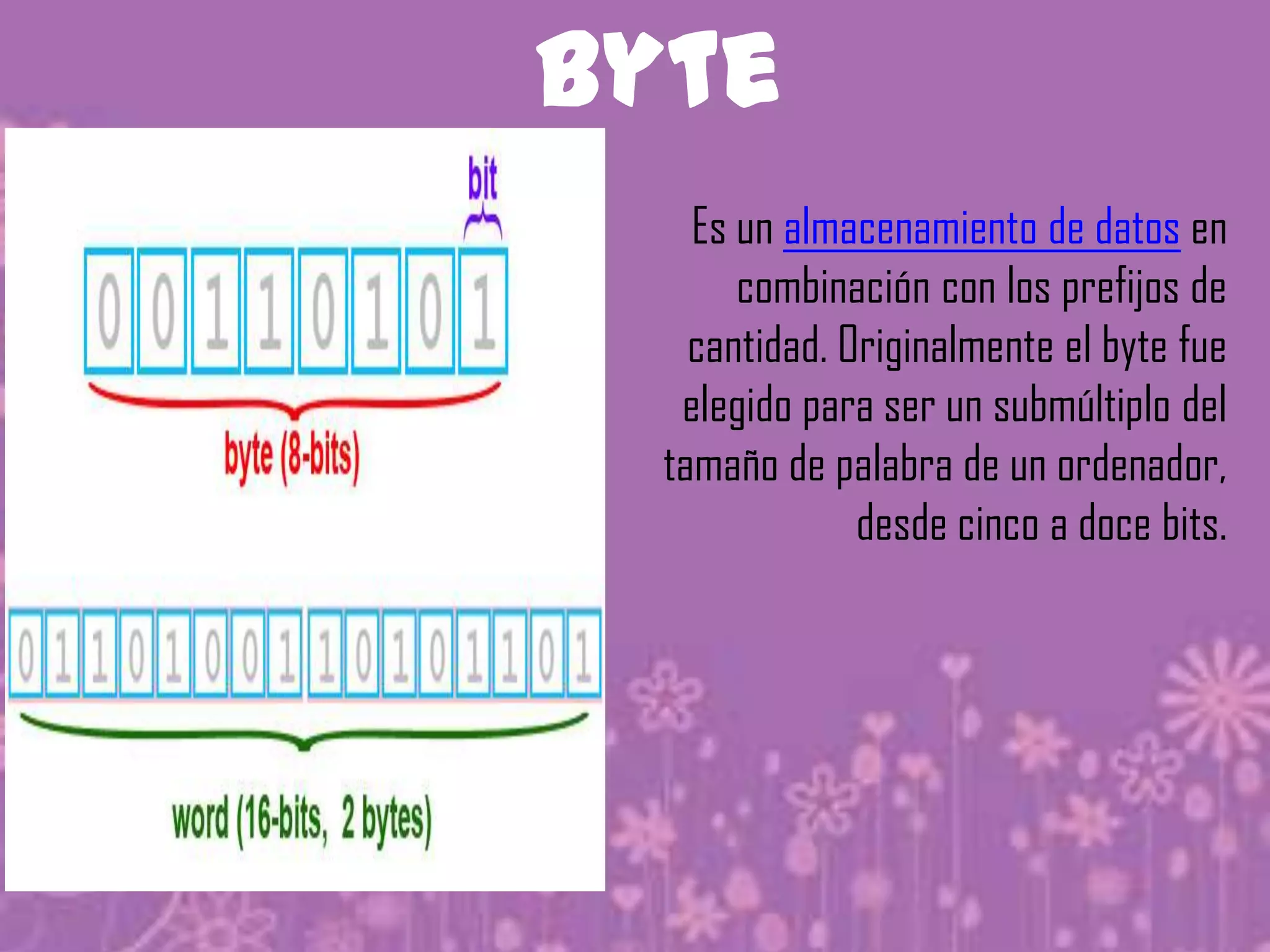 byte
    Es un almacenamiento de datos en
       combinación con los prefijos de
    cantidad. Originalmente el byte fue
   elegido para ser un submúltiplo del
  tamaño de palabra de un ordenador,
               desde cinco a doce bits.
 