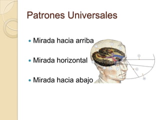 Patrones UniversalesMirada hacia arriba Mirada horizontal Mirada hacia abajo