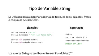 Introducción a Variables y Tipos de Datos en Programación Orientada a ...