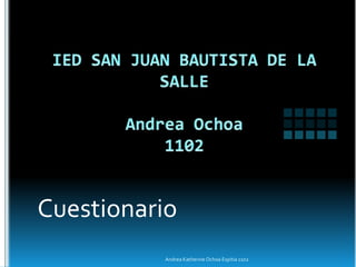 Cuestionario
          Andrea Katherine Ochoa Espitia 1102
 