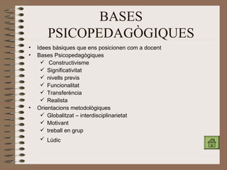 BASES PSICOPEDAGÒGIQUES Idees bàsiques que ens posicionen com a docent Bases Psicopedagògiques Constructivisme Significativitat nivells previs Funcionalitat Transferència Realista Orientacions metodològiques Globalitzat – interdisciplinarietat Motivant treball en grup Lúdic   