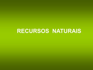 RECURSOS NATURAIS
 