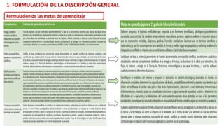 1. FORMULACIÓN DE LA DESCRIPCIÓN GENERAL
Formulación de las metas de aprendizaje
 