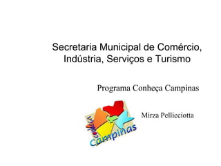 Secretaria Municipal de Comércio,
  Indústria, Serviços e Turismo

         Programa Conheça Campinas


                   Mirza Pellicciotta
 