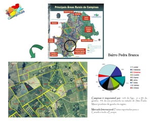 Bairro Pedra Branca

                    2.954,2

                                                                   1) Jundiaí
                                               1.358,3
                                                                   2) Indaiatuba
                                                                   3) Campinas
    371,5                                                          4) Louveira
                                                                   5) Itupeva
                                                                   6) Jarinu
    564,7
                                                         1.114,4   7) Itatiba
                                                                   8) Valinhos
            566,2
                                                                   9) Vinhedo
                                       898,2
                    780,6
                               799,4




Campinas é responsável por: 16% do figo, 6 a 8% da
goiaba, 4% da uva produzida no estado de São Paulo.
Maior produtor de goiaba da região.

Mercado Internacional: Frutas exportadas para o
Canadá e toda a Europa.
 