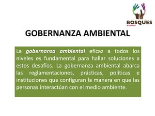La gobernanza ambiental eficaz a todos los
niveles es fundamental para hallar soluciones a
estos desafíos. La gobernanza ambiental abarca
las reglamentaciones, prácticas, políticas e
instituciones que configuran la manera en que las
personas interactúan con el medio ambiente.
GOBERNANZA AMBIENTAL