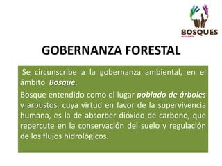 GOBERNANZA FORESTAL
Se circunscribe a la gobernanza ambiental, en el
ámbito Bosque.
Bosque entendido como el lugar poblado de árboles
y arbustos, cuya virtud en favor de la supervivencia
humana, es la de absorber dióxido de carbono, que
repercute en la conservación del suelo y regulación
de los flujos hidrológicos.