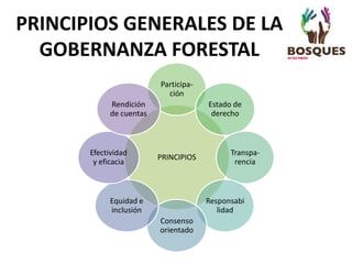 PRINCIPIOS GENERALES DE LA
GOBERNANZA FORESTAL
PRINCIPIOS
Participa-
ción
Estado de
derecho
Transpa-
rencia
Responsabi
lidad
Consenso
orientado
Equidad e
inclusión
Efectividad
y eficacia
Rendición
de cuentas