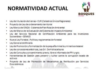 NORMATIVIDAD ACTUAL