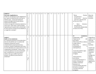 Unidad IV
Perú, país megabiodiverso.
El Perú es considerado un país megadiverso
por la gran variedad deseres vivos que lo
habitan,pues , un gran porcentaje de
especies biológicasdel mundo habitan
nuestro territorio patrio.
¿Cuál es el origen de la biodiversidad delos
seres vivos? ¿Qué retos y oportunidades
representa para nuestro país su diversidad
en flora y fauna? ¿Cuáles son los beneficios
y riesgos de su manejo?
6
S
E
M
A
N
A
S
/
20
H
O
R
A
S
x x x x x x x x x x x
*Reino Plantae:
características,
clasificación, relación,
nutrición, reproducción.
La flora en el Perú.
* Reino Animalia:
Características,
clasificación,adaptaciones
-La fauna en el Perú.
Álbum de
plantas y
animales.
Unidad V
Acción en los ecosistemas
En la Amazonía peruana se ha producido el
derrame de petróleo por la rajadura del
oleoducto norperuano, que ha
contaminado los espaciosterrestres y
acuáticos,siendo los pobladores dela zona
los más afectados por los gases tóxicos y los
componentes del petróleo. Frente a esta
situación ¿Quéocurrirá con lasrelaciones
que se establecen en los ecosistemas?
¿Cómo crees que sedebe hacer para
prevenir los efectos de este desastre
ambiental?
6
S
E
M
A
N
A
S
/
20
H
x x x x x x x -El ecosistema:
componentes, tipos.
-Organización del
ecosistema.
-Relaciones tróficas cadenas
y redes tróficas.
-Relaciones bióticas:
intraespecíficas e
interespecíficas.
-Ciclos dela materia:agua,
carbono,fósforo y
nitrógeno.
-Evolución de los
ecosistemas.
-Los biomas terrestres: la
tundra, el bosque de
coníferas,el bosque
templado, etc.
-Los ecosistemas peruanos:
terrestres y acuáticos.
-Las áreas naturales
protegidas.
Infografía de
cadena o red
trófica de
una especie
de la
localidad.
-Cuadro que
contenga el
hábitaty su
respectivo
nicho
ecológico de
algunas
especies
animales y
vegetales de
la zona.
 