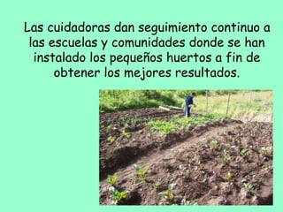 Las cuidadoras dan seguimiento continuo a
las escuelas y comunidades donde se han
instalado los pequeños huertos a fin de
obtener los mejores resultados.
 